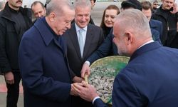 Menemen'den anlamlı jest: Pehlivan'dan Erdoğan'a Bozalan inciri