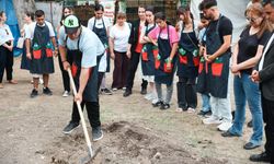 İzmir'de kompost seferberliği: Mutfak atıkları hayat buluyor