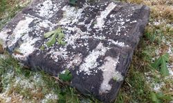 İzmir ve Aydın’da dolu vurdu: Üretici dertli