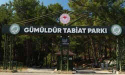 3 yıl sonra yeniden açıldı: Gümüldür Tabiat Parkı ziyaretçilerini ağırlıyor
