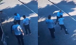 Salihli Belediyesi’nde saldırı: Güvenlik görevlisi ve köpek yaralandı
