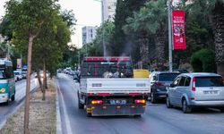 Gaziemir’de haşereyle mücadele hızlandı: İlaçlama çalışmaları yoğunlaştı