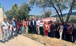 Safe Spice işçileri kazandı: 34 günlük grev bitti