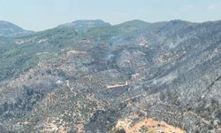 Yeşilden siyaha... Fethiye'de 300 hektar kül oldu