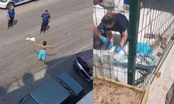 Yarı çıplak sokağa çıktı: Dakikalar sonra acı haber geldi!