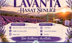 Muğla’da doğa ve üretim lavanta şenliğinde buluşuyor