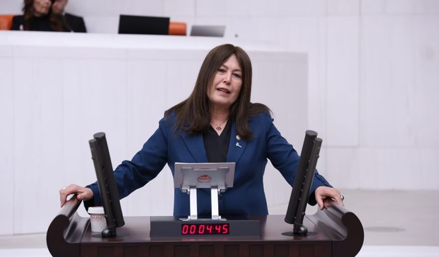 İYİ Partili Sunat’tan özelleştirme eleştirisi: “Yeni hastane bitmeden eskisi satılamaz”