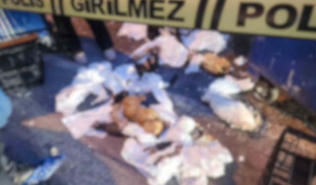 Buca’da şok olay: 24 kedi ve kuş ölüleri bulundu! “Takipçisi olacağız”