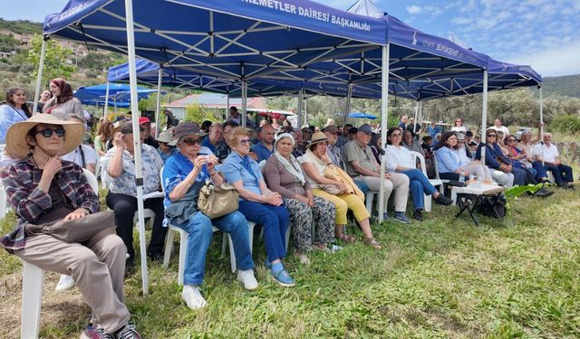 Foça’da imece ruhu: Üreticiden zeytin şenliği