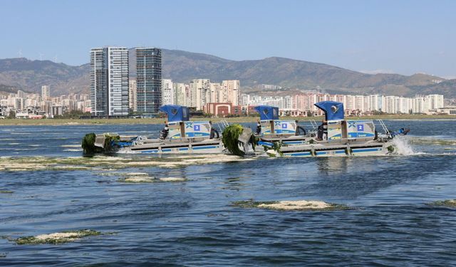 İzmir Körfezi’nde dev temizlik: 300 ton marul toplandı