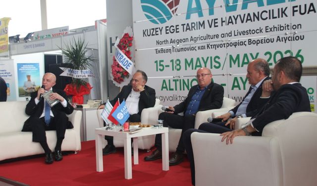 Kuzey Ege zeytinyağında küresel marka atağı