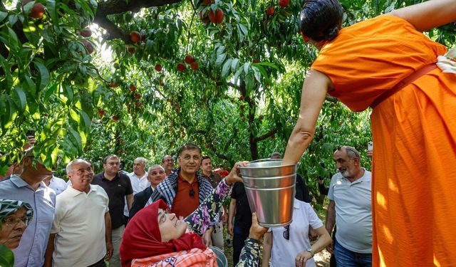 Selçuk’ta Şen Şeftali Şenliği coşkusu: Başkan Tugay hasada katıldı