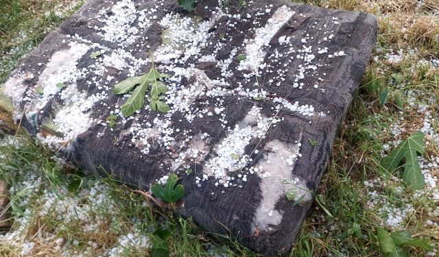 İzmir ve Aydın’da dolu vurdu: Üretici dertli