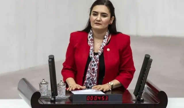 Sevda Erdan Kılıç’tan “trol” tepkisi: “Eğilmedim, eğilmem”