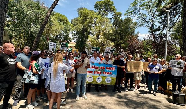 İzmir'de göğüs hastanesi bahçesindeki ağaç kesimi tepkisi