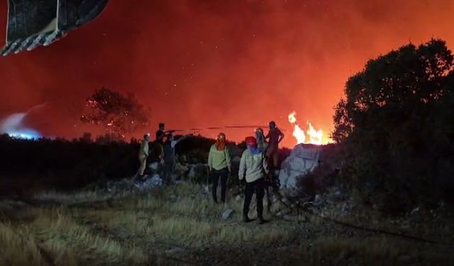 Milas’ta orman yangını: Kaplankaya’da tahliye