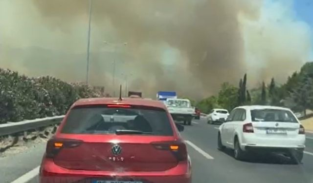 Akhisar’da yangın: İzmir-İstanbul Otoyolu trafiğe kapatıldı