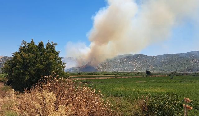Söke’de zirai alan yangını: Havadan ve karadan müdahale