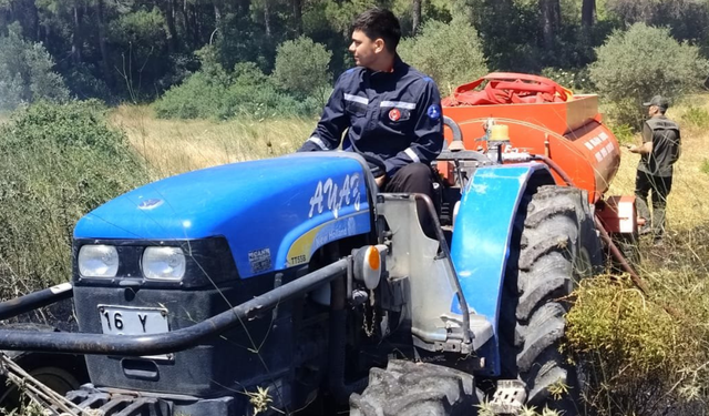 Bornova'da ot yangını 30 dakikada kontrol altına alındı