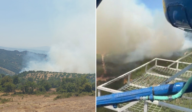 Kuyucak’ta orman yangını: Havadan ve karadan müdahale başladı