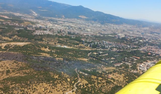 Bornova’daki orman yangını kontrol altına alındı