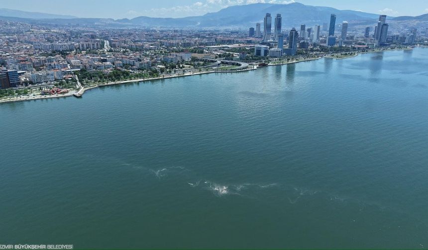 İzmir Körfezi’nde 14. kirlilik: İZBB’den sert tepki