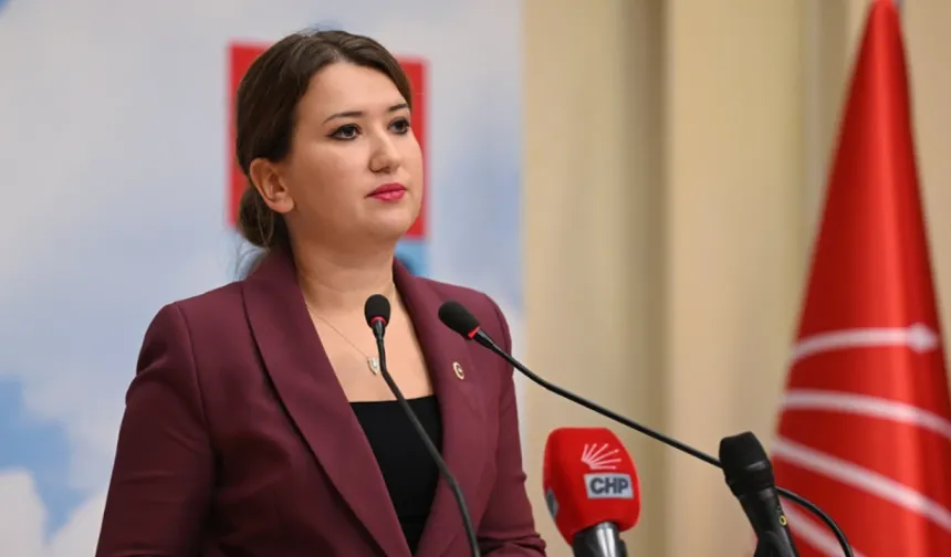 Gökçe Gökçen’den Genel Merkez'de “oda baskını” tepkisi