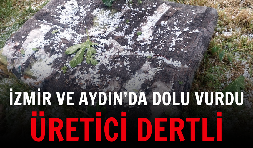 İzmir ve Aydın’da dolu vurdu: Üretici dertli