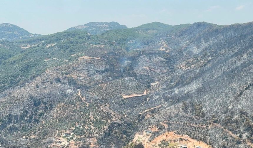 Yeşilden siyaha... Fethiye'de 300 hektar kül oldu