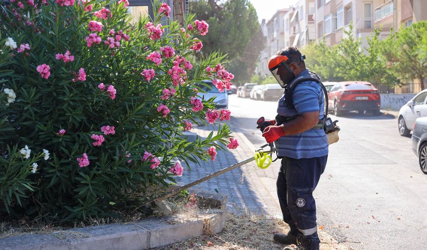 Buca'da yaz temizliği seferberliği: 47 mahallede yoğun mesai