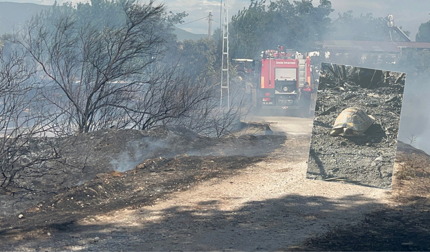 Bayındır’da alevler evlere dayandı: Hurdacı iddiası