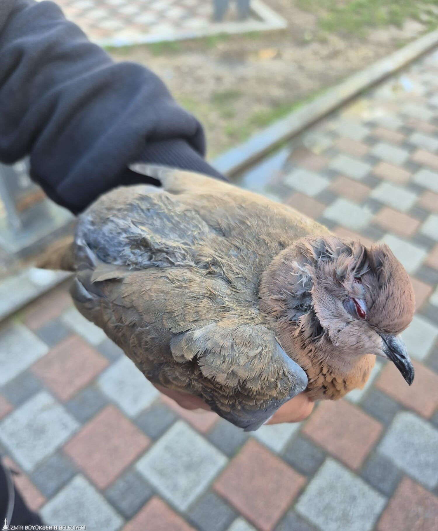 01022026 9420