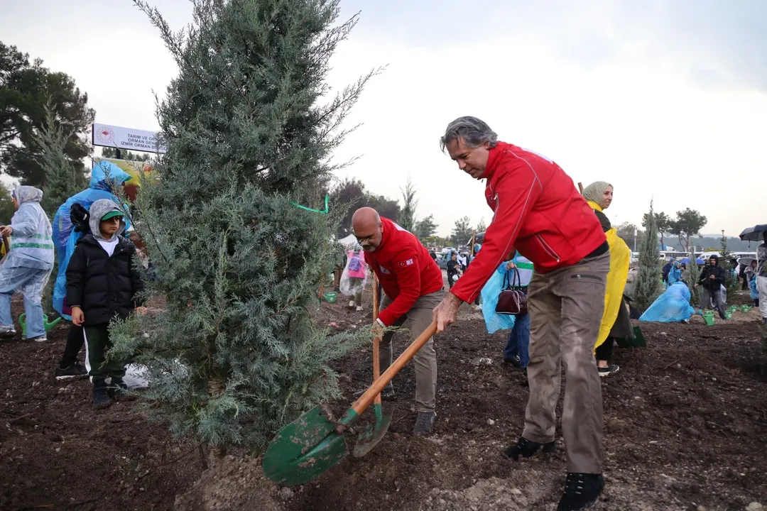 🌳 11 Kasım Milli Ağaçlandırma Günü 🌳#Sevdamızyeşilvatanbugün, Geleceğe Nefes Olmak Için Bir A