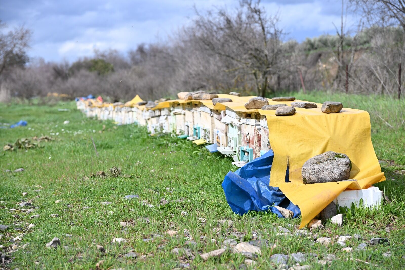 Büyükşehir’den Sel Mağduru Arıcıya Kovan Desteği (15)