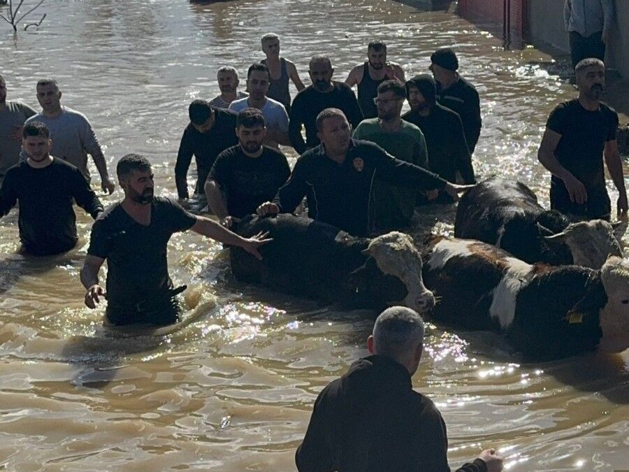Manisa Büyükşehir Seferber 44 Vatandaş Ve 127 Hayvan Tahliye Edildi (4)