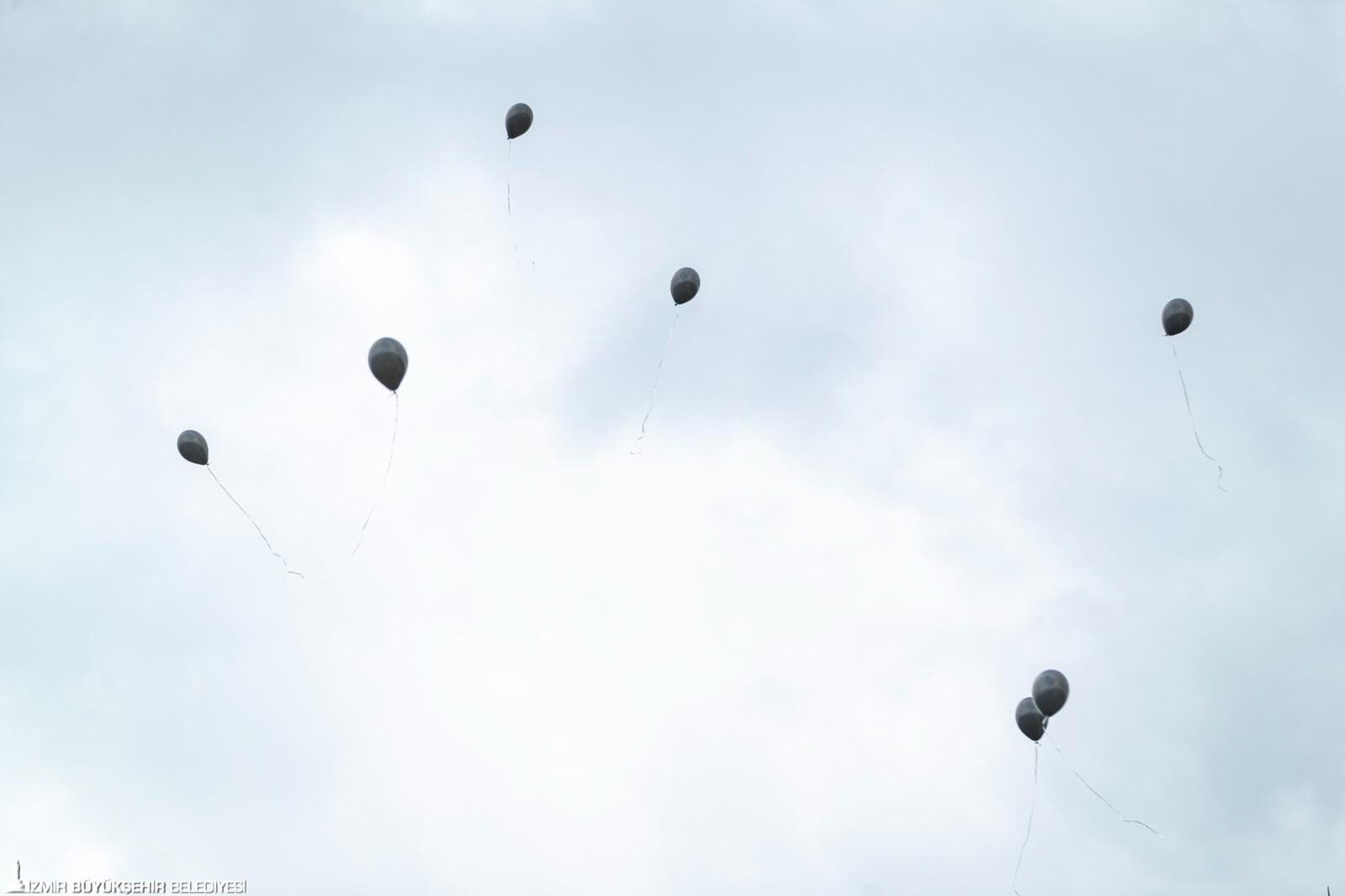 23042026 171231