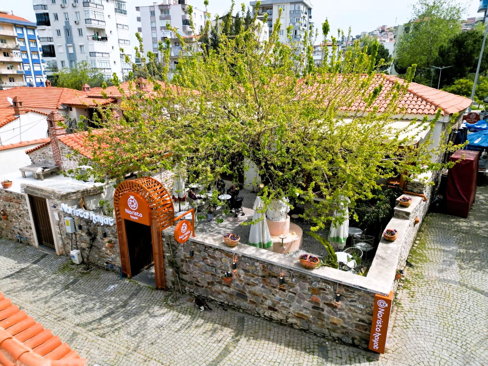 Narista Hayat Yukarıköy (2)