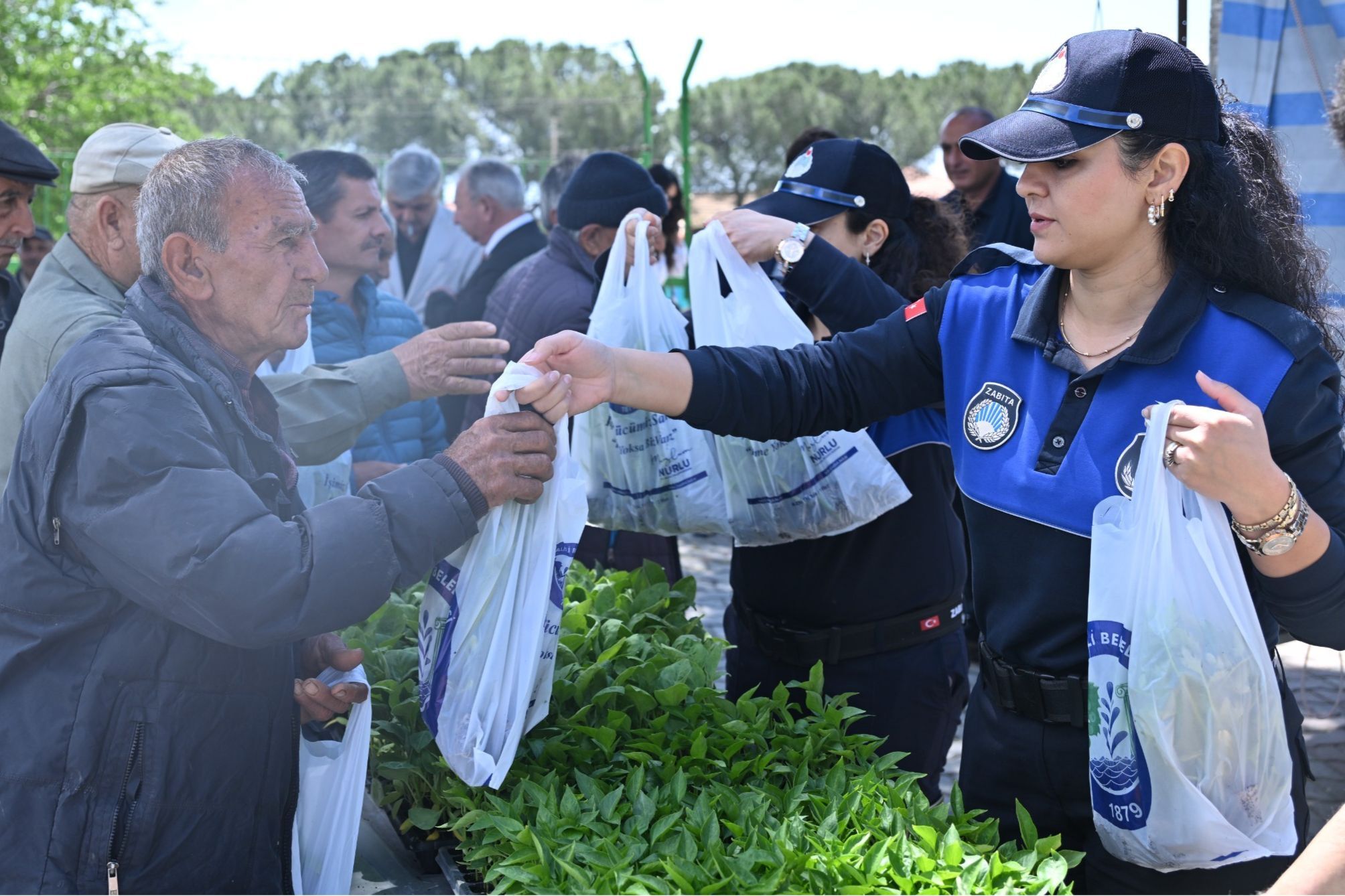 Büyükşehir’den Salihlili Üreticilere 34 Bin Sebze Fidesi (3)