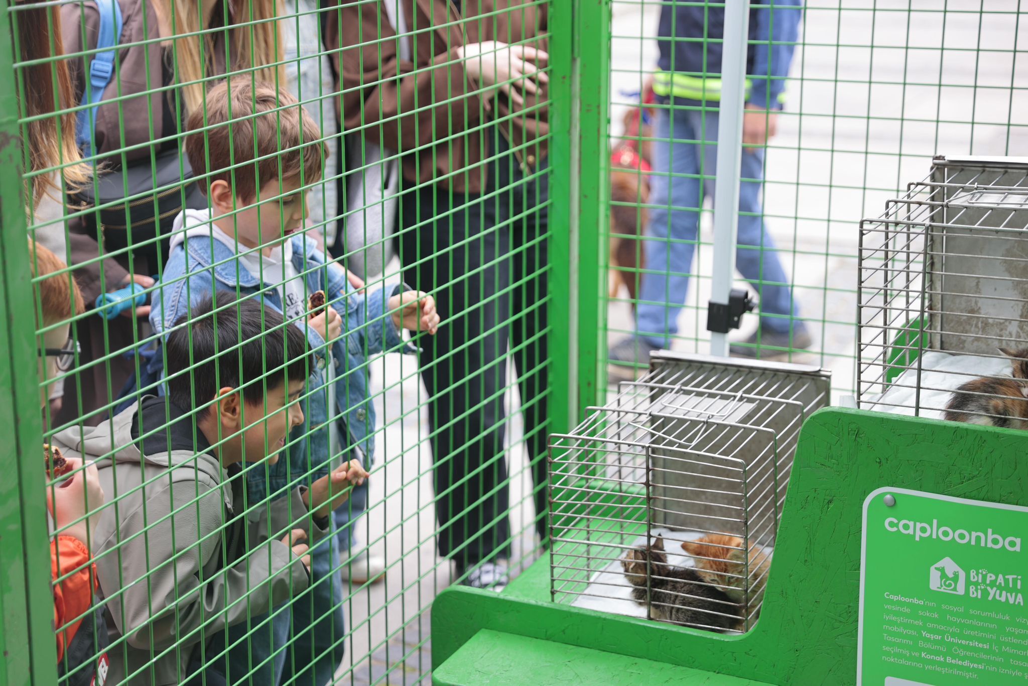 Konak’ta Sahiplendirme Buluşması 11 Can Dost Yeni Yuvalarına Kavuştu (9)