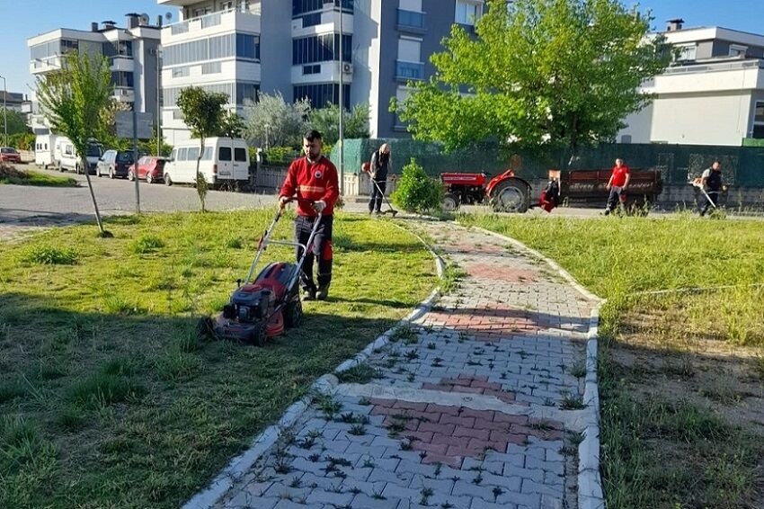 Ot Biçme (12)