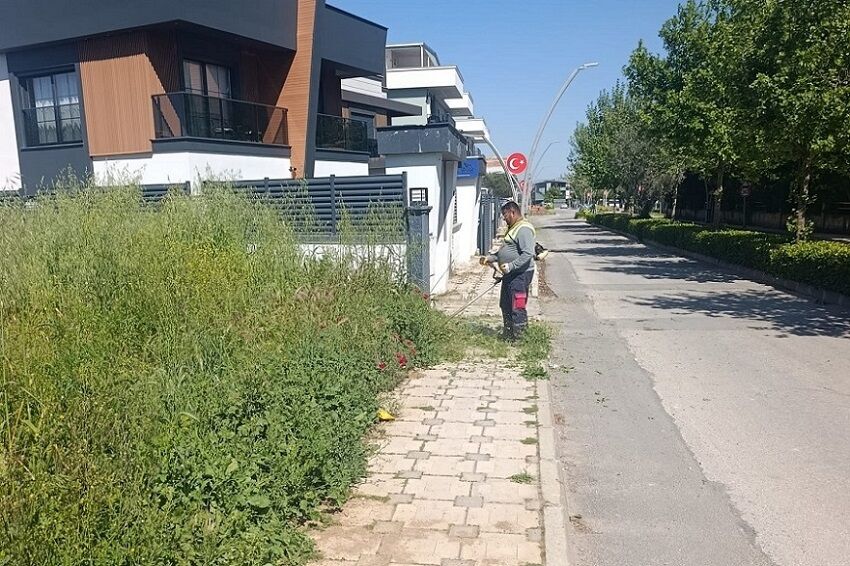 Ot Biçme (2)