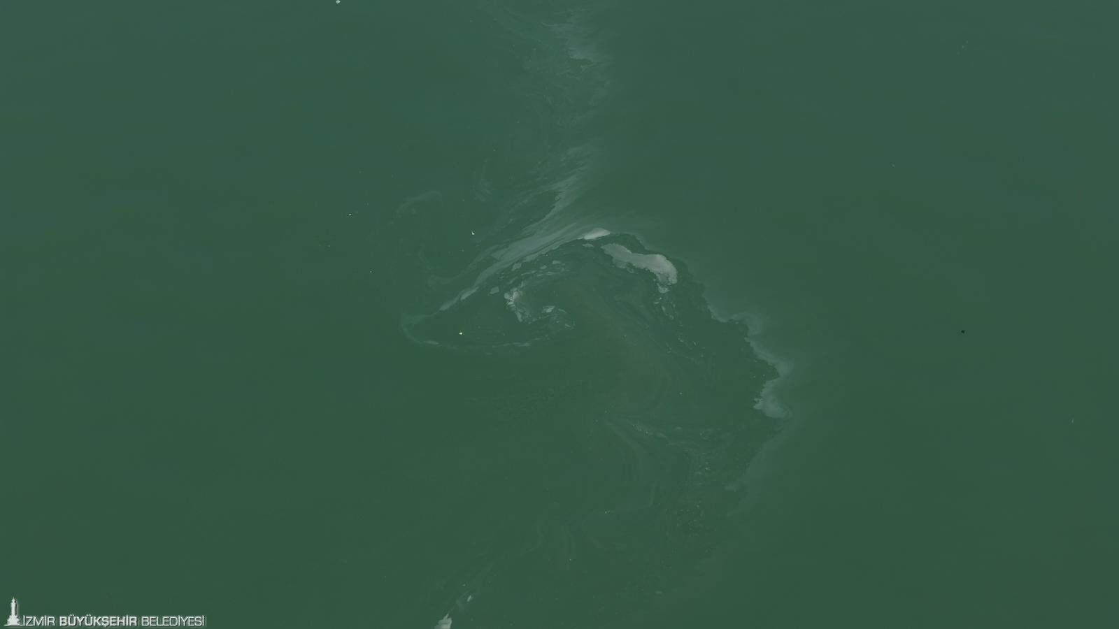 03062026 85055