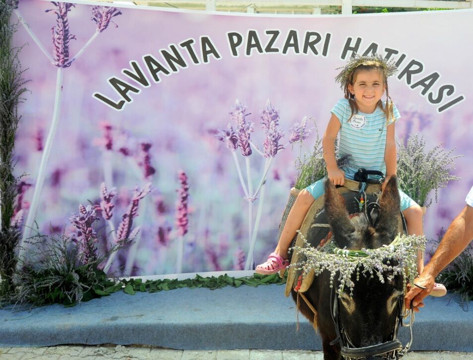 Lavanta Hatıra 1