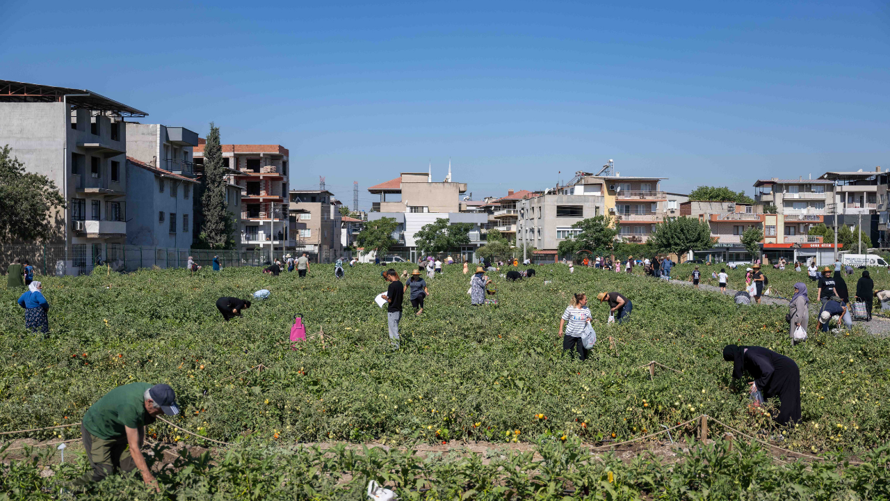 D Ses Gazete Manşet 2026 07 17T103957.574