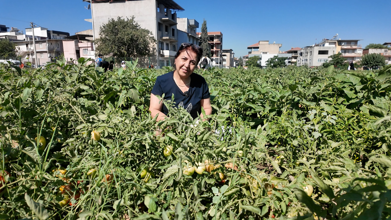 D Ses Gazete Manşet 2026 07 17T104137.335