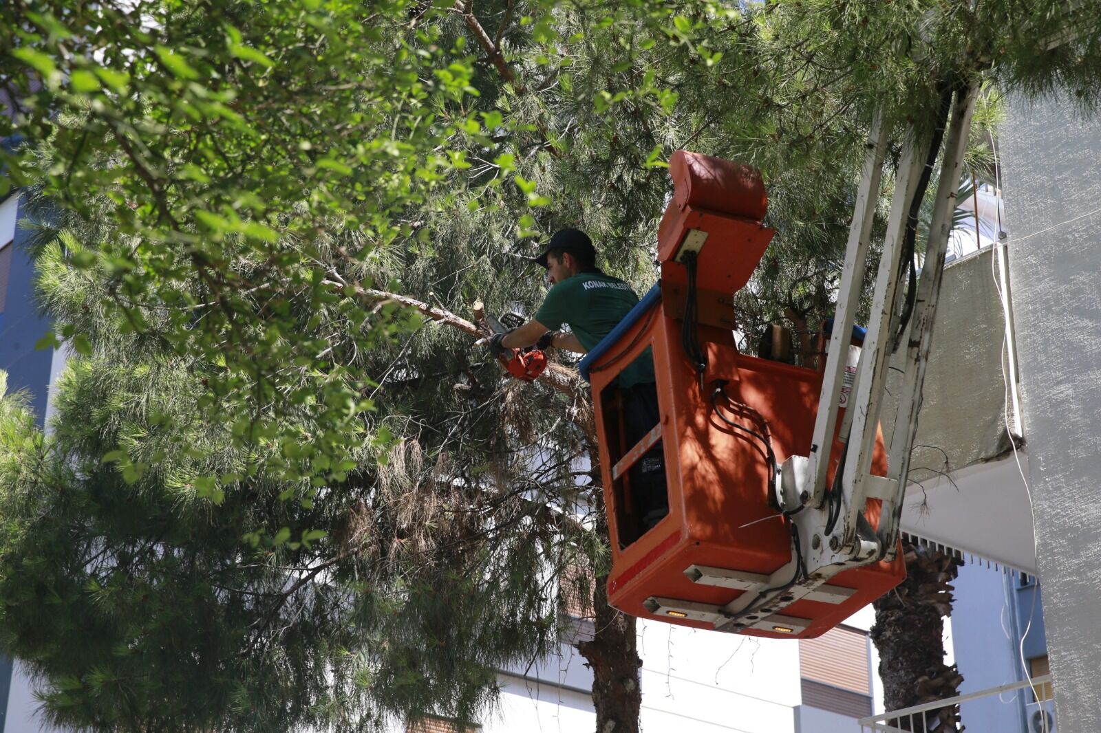 Konak’ın Parklarında Bakım Seferberliği (3)